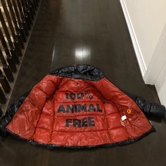 Save The Duck Jacket - Picture 3 of 3